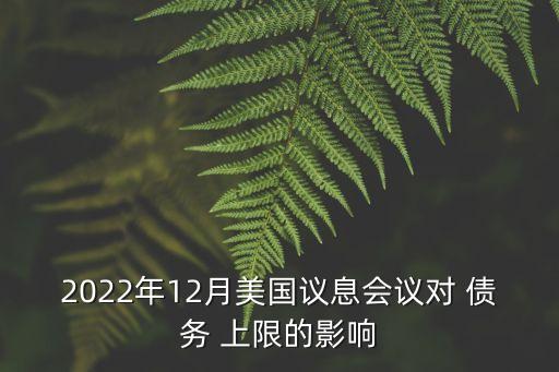 2022年12月美國議息會議對 債務(wù) 上限的影響