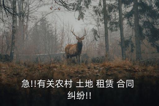 急!!有關(guān)農(nóng)村 土地 租賃 合同 糾紛!!