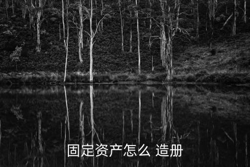 固定資產(chǎn)怎么 造冊(cè)