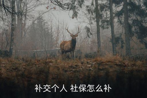 補交個人 社保怎么補