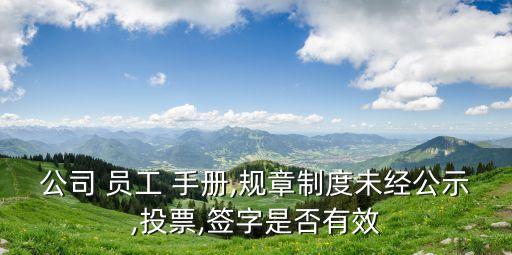 公司 員工 手冊(cè),規(guī)章制度未經(jīng)公示,投票,簽字是否有效