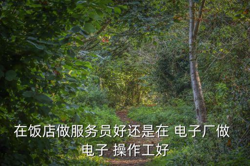 在飯店做服務(wù)員好還是在 電子廠做 電子 操作工好