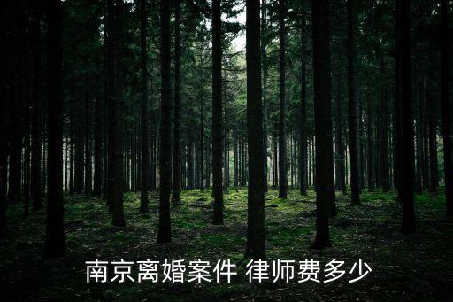  南京離婚案件 律師費(fèi)多少
