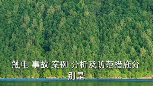 觸電 事故 案例 分析及防范措施分別是