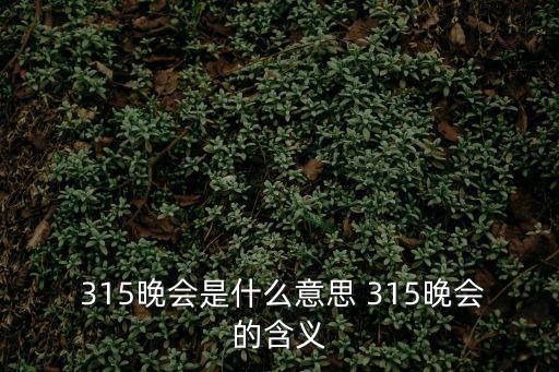  315晚會是什么意思 315晚會的含義
