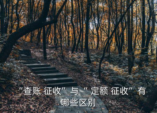 “查賬 征收”與“ 定額 征收”有哪些區(qū)別