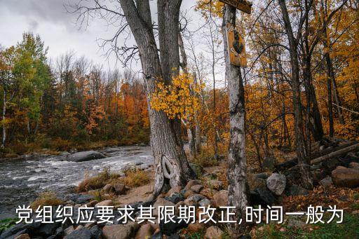 整改時限有幾種,問題清單整改時限一般怎么填