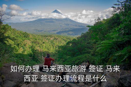 如何辦理 馬來(lái)西亞旅游 簽證 馬來(lái)西亞 簽證辦理流程是什么