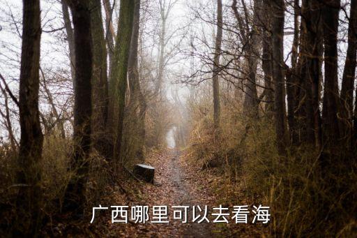  廣西哪里可以去看海