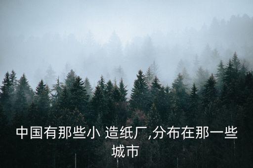 中國有那些小 造紙廠,分布在那一些城市