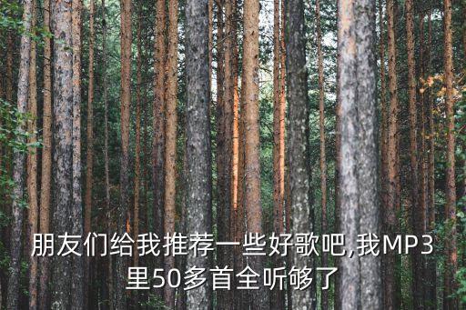 朋友們給我推薦一些好歌吧,我MP3里50多首全聽夠了