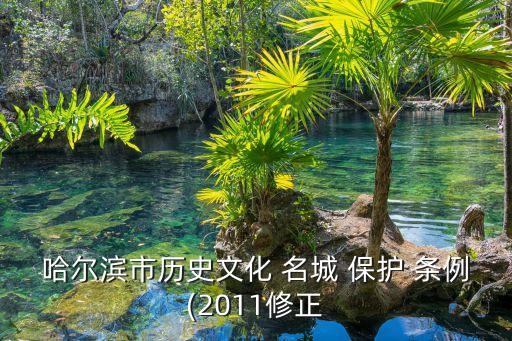 歷史文化名城名鎮(zhèn)名村保護(hù)條例,山東省歷史文化名城名鎮(zhèn)名村保護(hù)條例