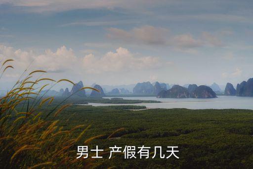 男士陪產(chǎn)假多少天,事業(yè)單位男士陪產(chǎn)假多少天