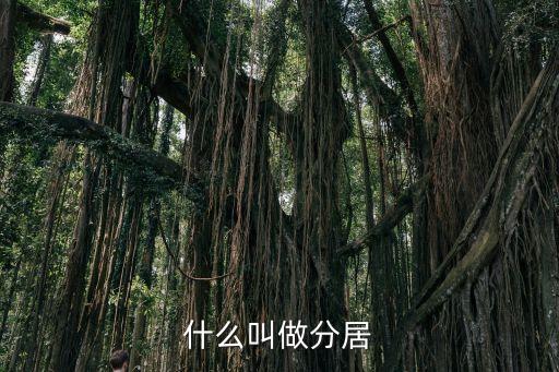 什么叫做分居
