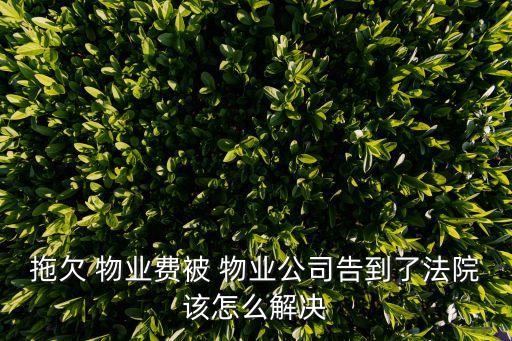 未交物業(yè)費(fèi)被物業(yè)起訴 如何和解,物業(yè)費(fèi)6年沒交,物業(yè)可以起訴嗎
