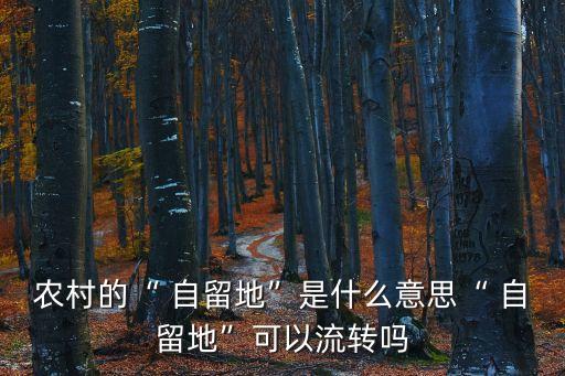 自留地是什么意思,農(nóng)村居民自留地是什么意思