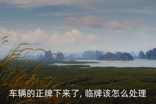 臨牌