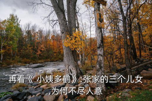 小姨多