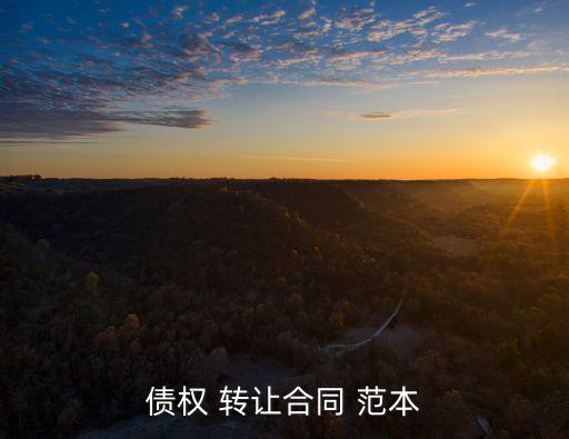 債權(quán) 轉(zhuǎn)讓合同 范本