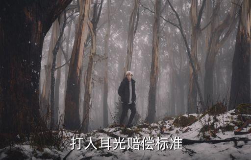 打人一巴掌調(diào)解一般賠多少錢(qián),打架斗毆律師免費(fèi)咨詢(xún)