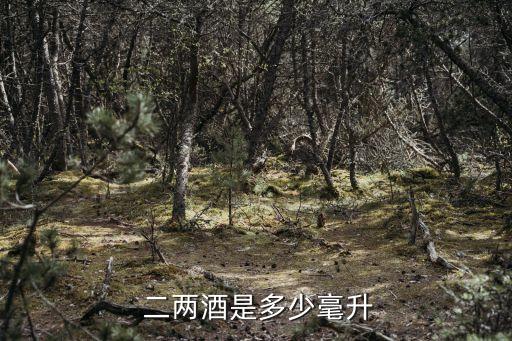  二兩酒是多少毫升