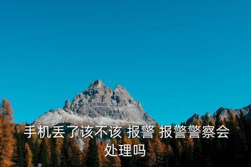 手機(jī)丟了報(bào)警有用嗎,幾百塊錢的手機(jī)丟了報(bào)警有用嗎