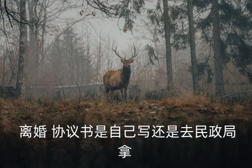  離婚 協(xié)議書是自己寫還是去民政局拿