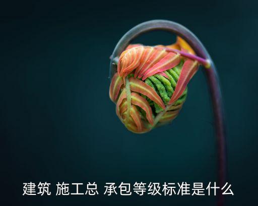 建筑 施工總 承包等級標(biāo)準(zhǔn)是什么