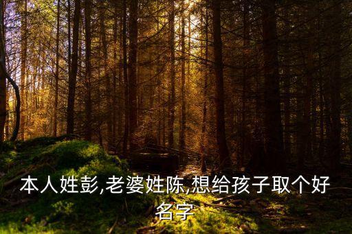 本人姓彭,老婆姓陳,想給孩子取個好名字