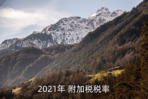 2021年 附加稅稅率