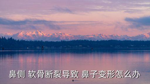 鼻子軟骨斷了的表現(xiàn),做鼻梁手術(shù)大約要多少錢