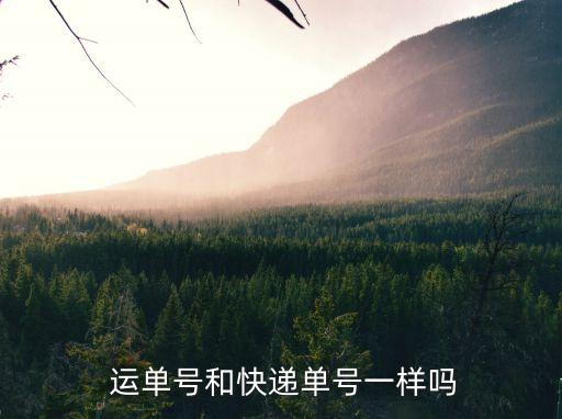 運單號是什么,淘寶退貨商家填寫運單號是什么