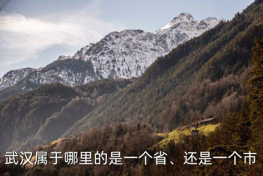 武漢屬于哪里的是一個省、還是一個市