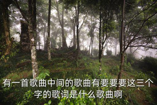 有一首歌曲中間的歌曲有要要要這三個(gè)字的歌詞是什么歌曲啊