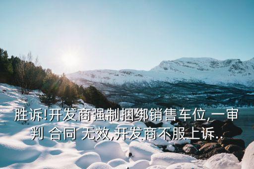 原告訴訟合同無效被駁回
