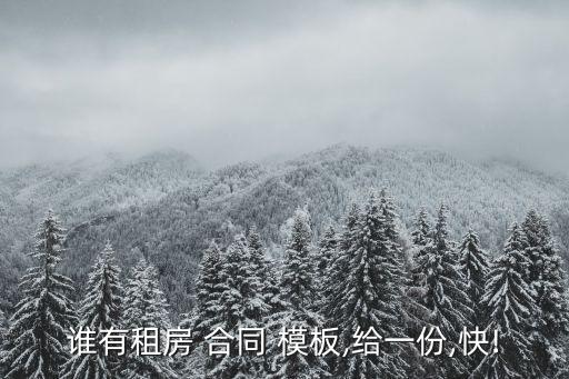 誰有租房 合同 模板,給一份,快!
