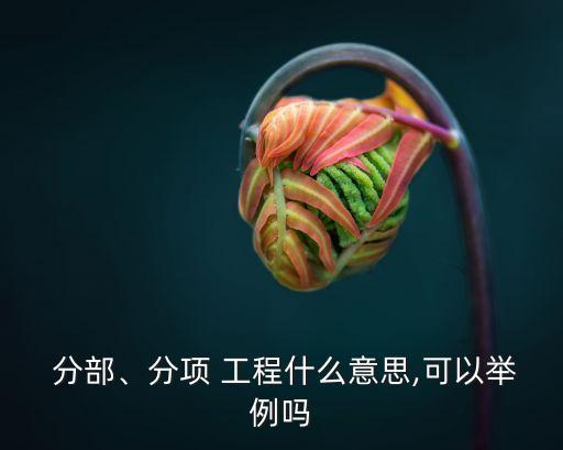  分部、分項(xiàng) 工程什么意思,可以舉例嗎