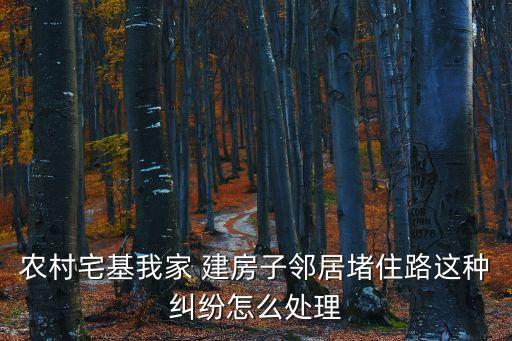 農(nóng)村宅基我家 建房子鄰居堵住路這種糾紛怎么處理