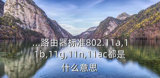 ...路由器標(biāo)準(zhǔn)802.11a,11b,11g,11n,11ac都是什么意思