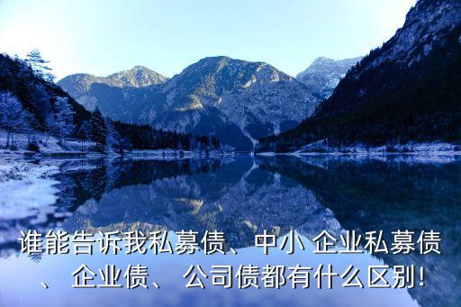 誰(shuí)能告訴我私募債、中小 企業(yè)私募債、 企業(yè)債、 公司債都有什么區(qū)別!