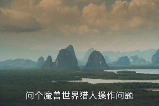 問個魔獸世界獵人操作問題
