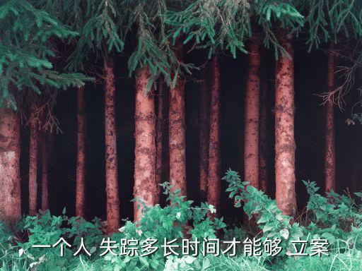 一個人 失蹤多長時間才能夠 立案
