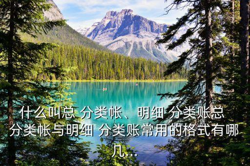 什么叫總 分類帳、明細(xì) 分類賬總 分類帳與明細(xì) 分類賬常用的格式有哪幾...