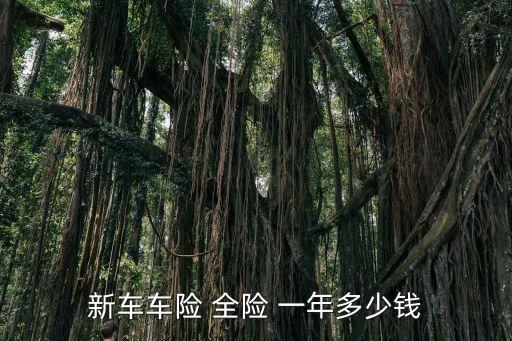 新車車險 全險 一年多少錢