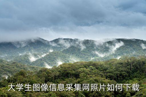 大學(xué)生圖像信息采集網(wǎng)照片如何下載