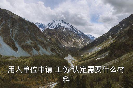 用人單位申請 工傷 認(rèn)定需要什么材料
