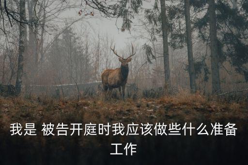 我是 被告開庭時我應該做些什么準備工作