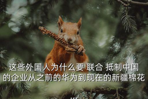 聯(lián)合抵制
