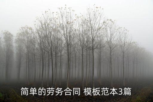 簡(jiǎn)單的勞務(wù)合同 模板范本3篇