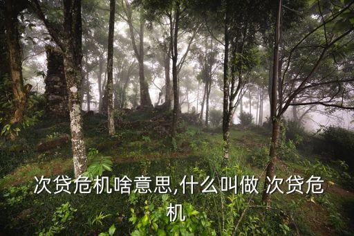  次貸危機啥意思,什么叫做 次貸危機